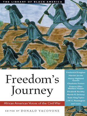 cover image of Freedom's Journey